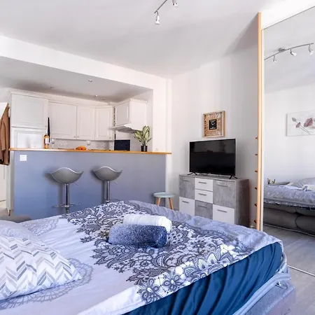 Centre With A Balcony 公寓 戛纳