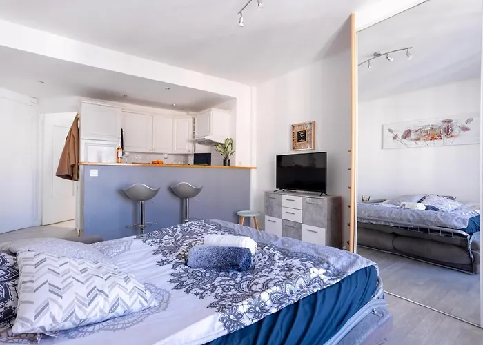 Centre With A Balcony 公寓 戛纳